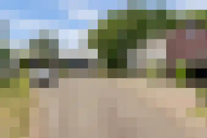 Bargerkempke 5 Winterswijk thumbnail 42
