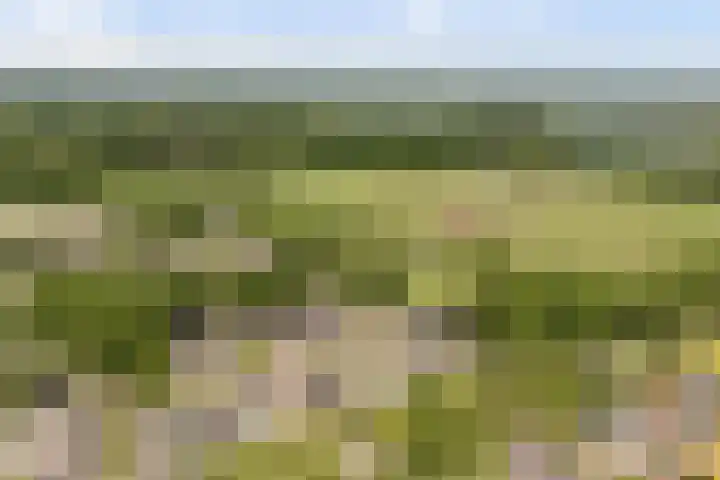 Bargerkempke 5 Winterswijk thumbnail 43