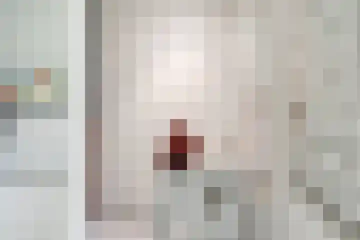 Bargerkempke 5 Winterswijk thumbnail 8