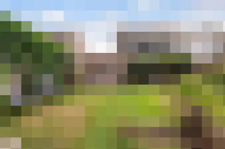 Bargerslat 30 Winterswijk thumbnail 41
