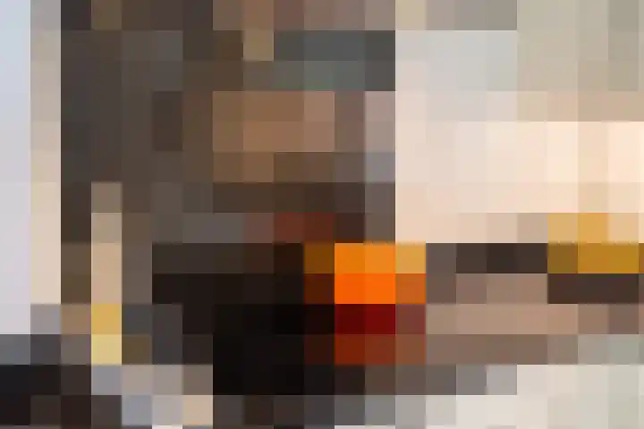 Bargerslat 8 Winterswijk thumbnail 9