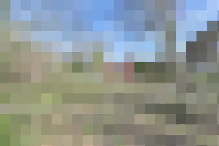 Bargerweg 10 Weiteveen thumbnail 5