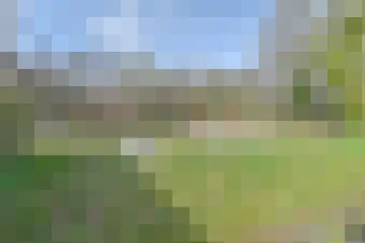 Bargerweg 10 Weiteveen thumbnail 6