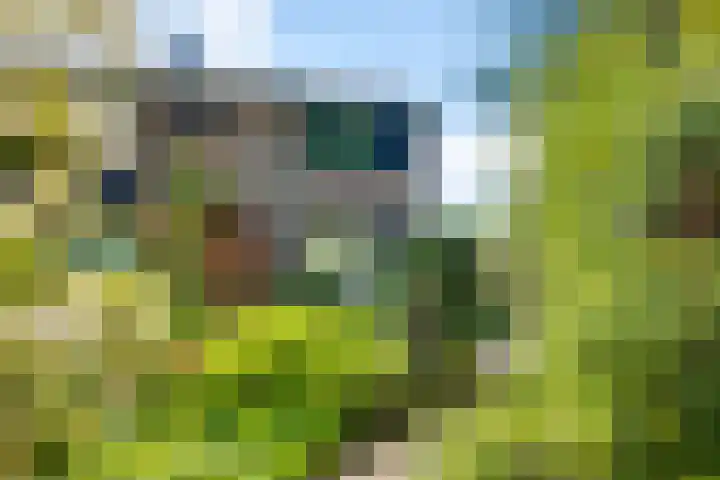 Bargeweg 10 in Eefde