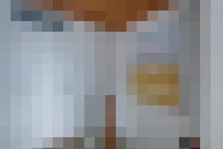 Bargeweg 10 Eefde thumbnail 37