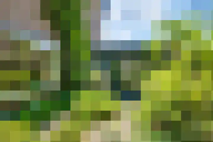 Bargeweg 10 Eefde thumbnail 47
