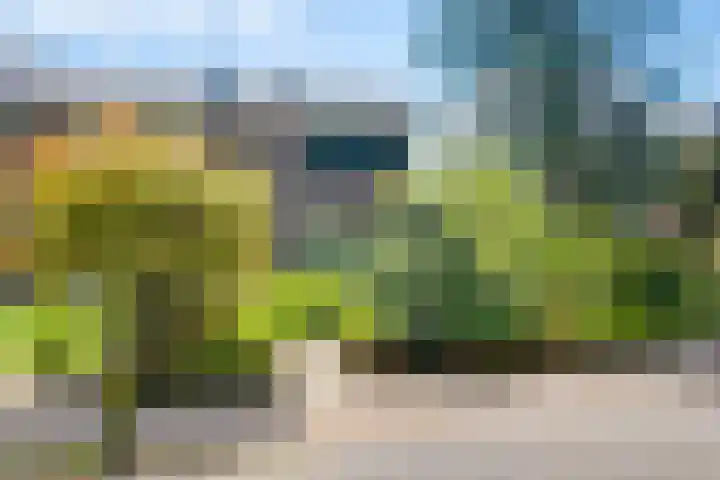 Bargeweg 10 Eefde thumbnail 5