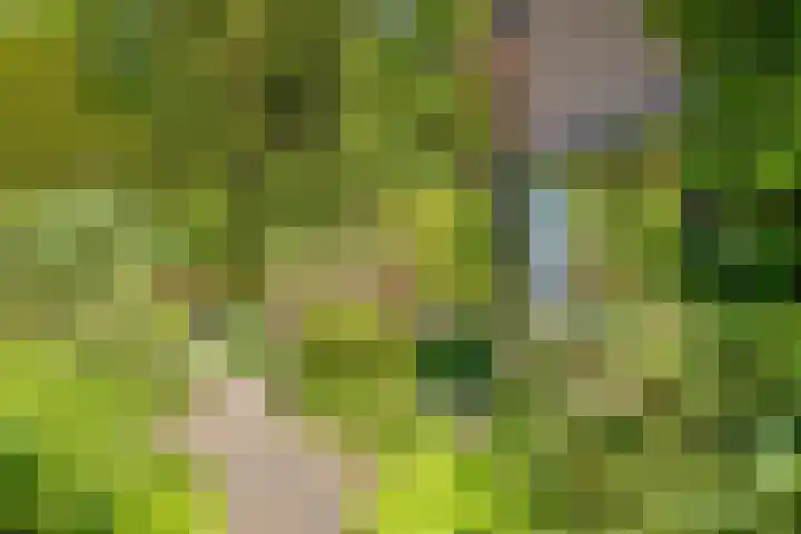 Bargeweg 10 Eefde thumbnail 50