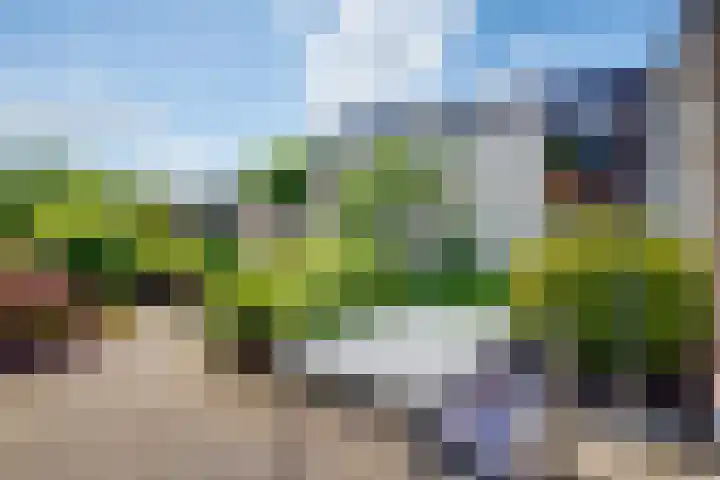 Bargeweg 10 Eefde thumbnail 51