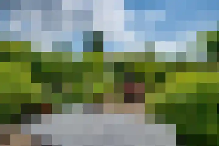 Bargeweg 10 Eefde thumbnail 52