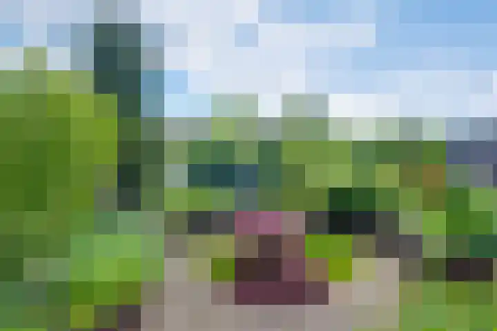 Bargeweg 10 Eefde thumbnail 53
