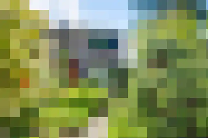 Bargeweg 10 Eefde thumbnail 6