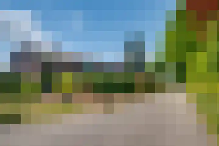 Bargeweg 10 Eefde thumbnail 61