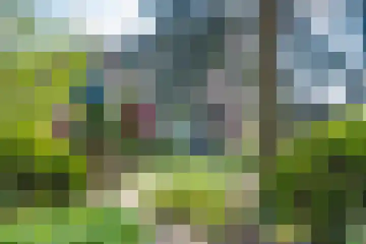 Bargeweg 10 Eefde thumbnail 7