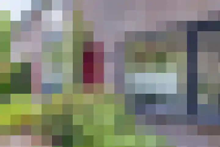 Bargeweg 10 Eefde thumbnail 8