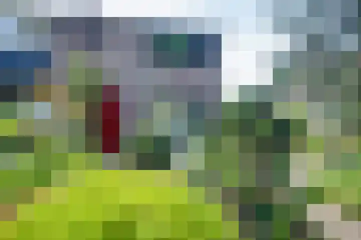 Bargeweg 10 Eefde thumbnail 9