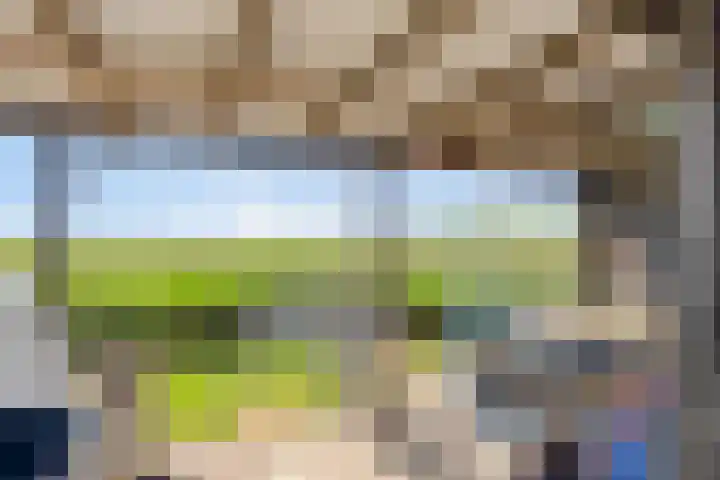 Bargweg 14 Emmer-Compascuum thumbnail 13