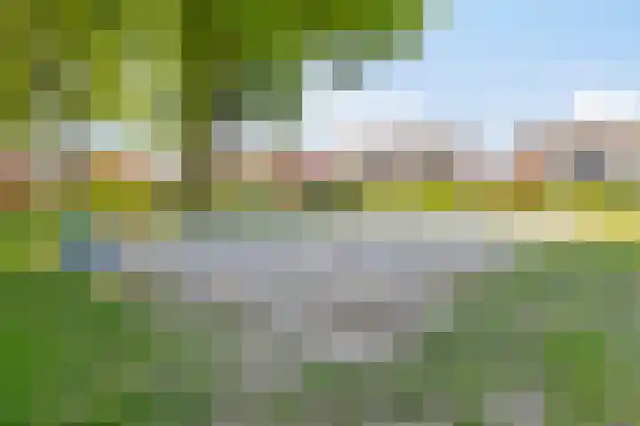 Bargweg 14 Emmer-Compascuum thumbnail 18
