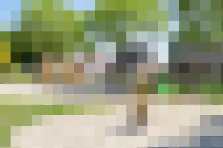 Bargweg 14 Emmer-Compascuum thumbnail 19