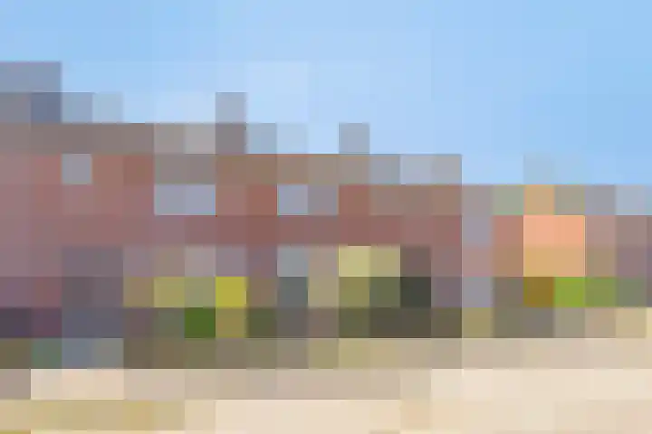 Bargweg 14 Emmer-Compascuum thumbnail 24