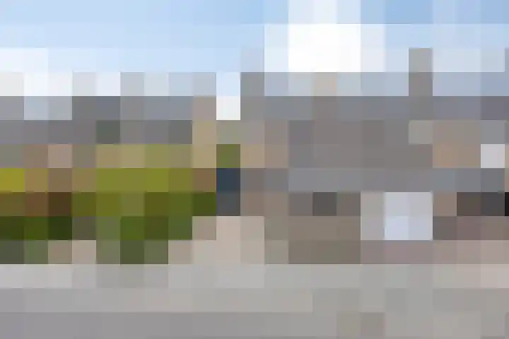 Barietdijk 106 Roosendaal thumbnail 33