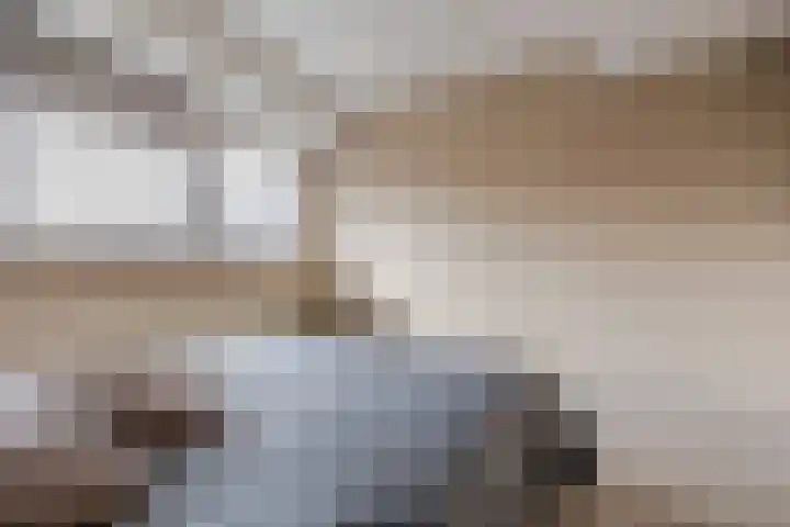Barietdijk 126 Roosendaal thumbnail 36