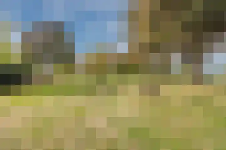 Barietdijk 126 Roosendaal thumbnail 60