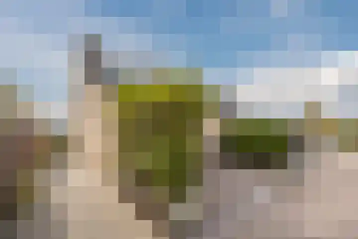 Barietdijk 126 Roosendaal thumbnail 7