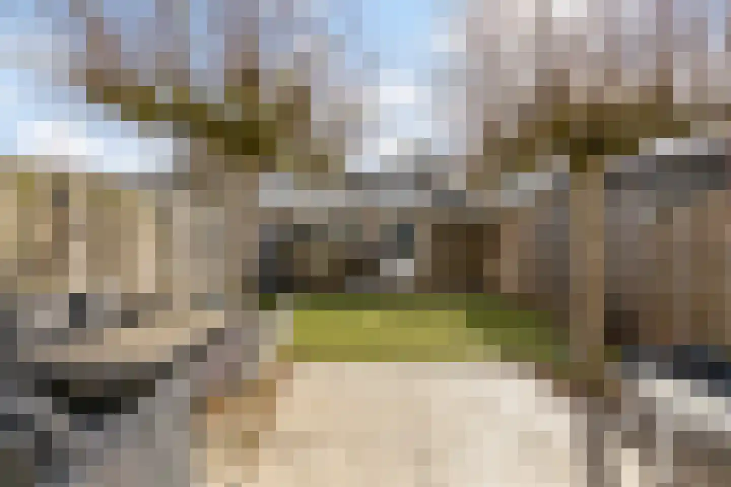 Barietdijk 198 Roosendaal thumbnail 36