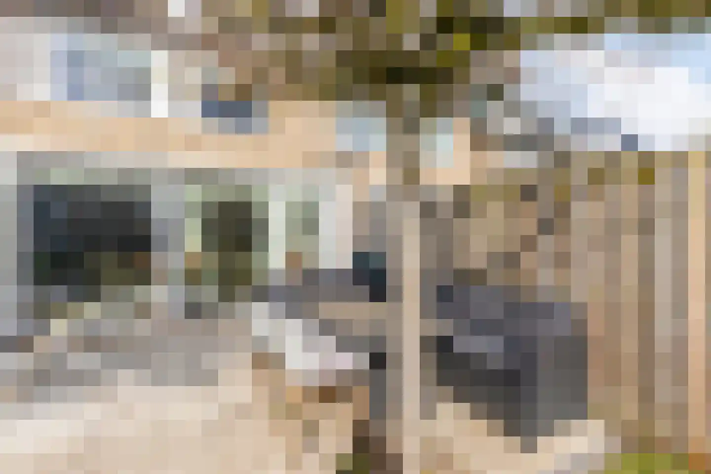 Barietdijk 198 Roosendaal thumbnail 39