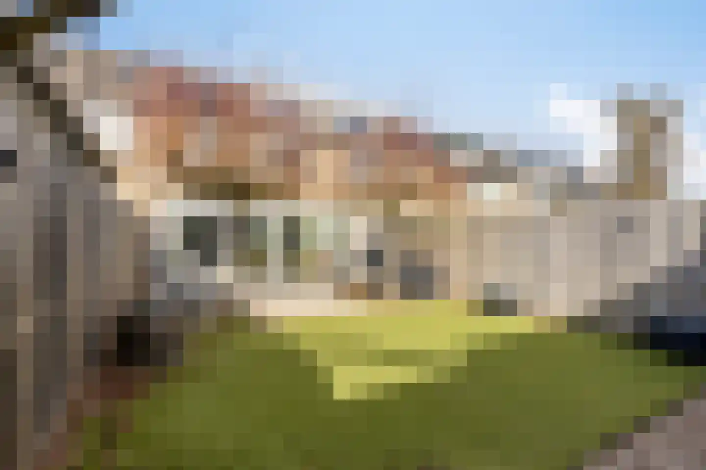 Barietdijk 198 Roosendaal thumbnail 4