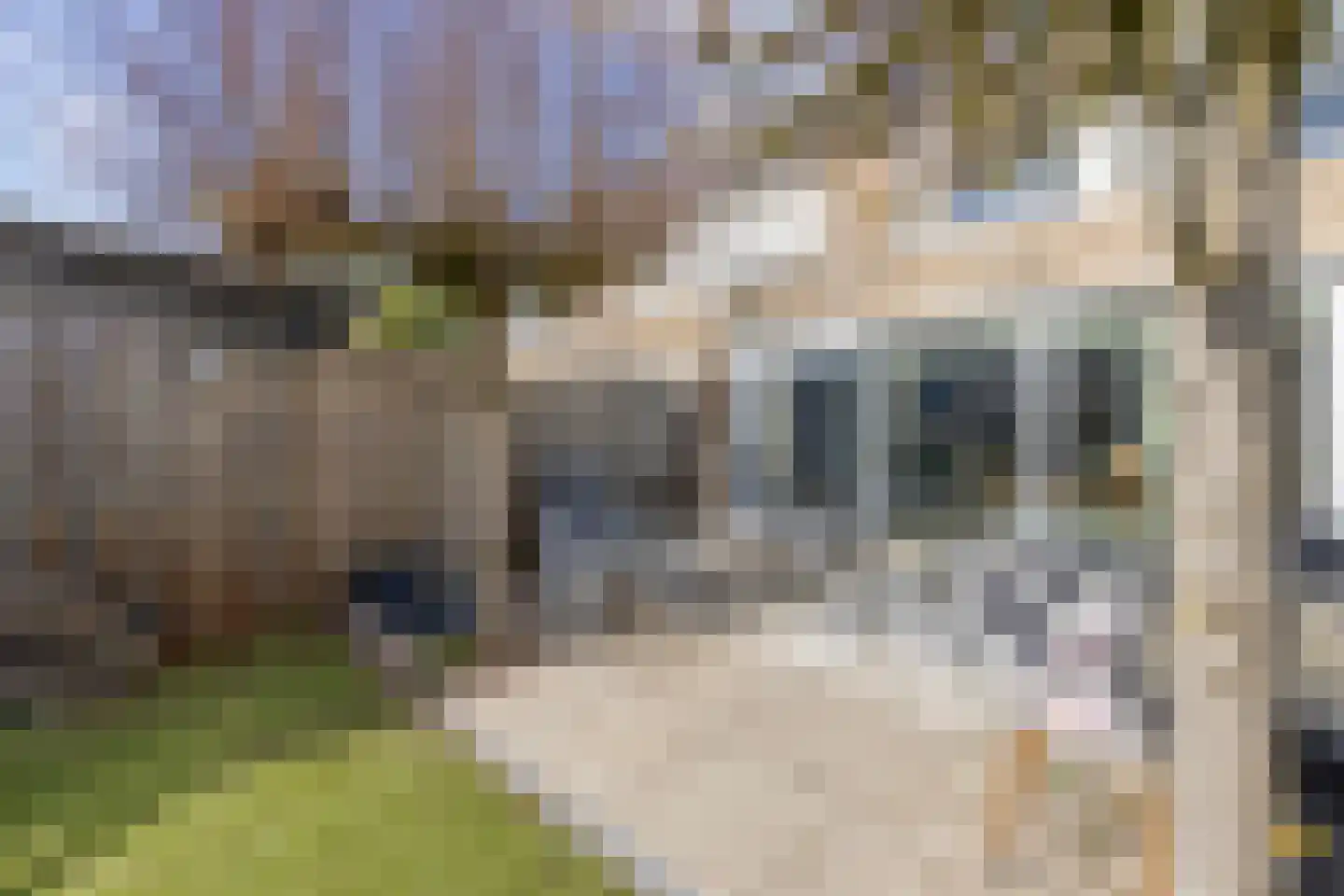 Barietdijk 198 Roosendaal thumbnail 40