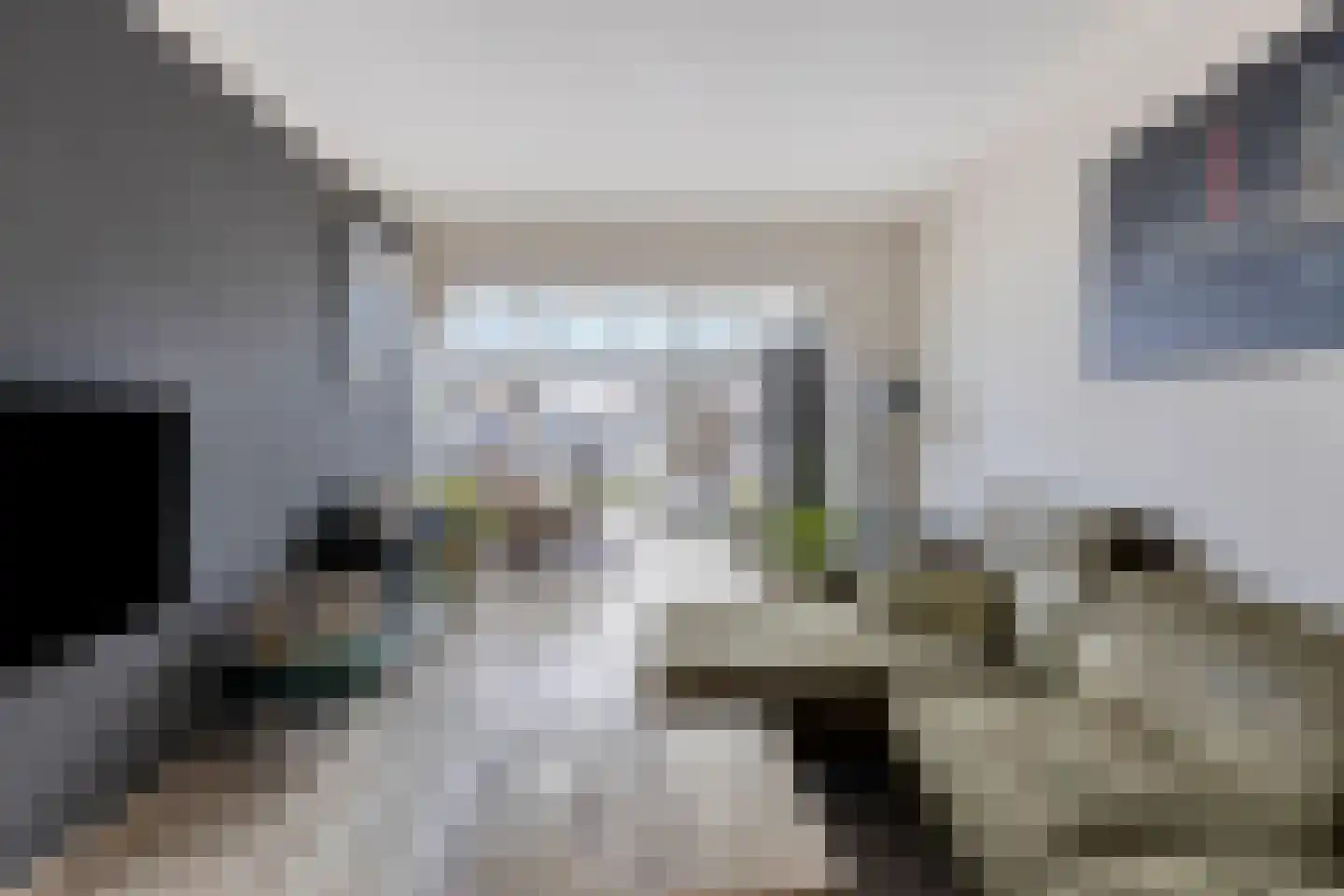 Barietdijk 198 Roosendaal thumbnail 8