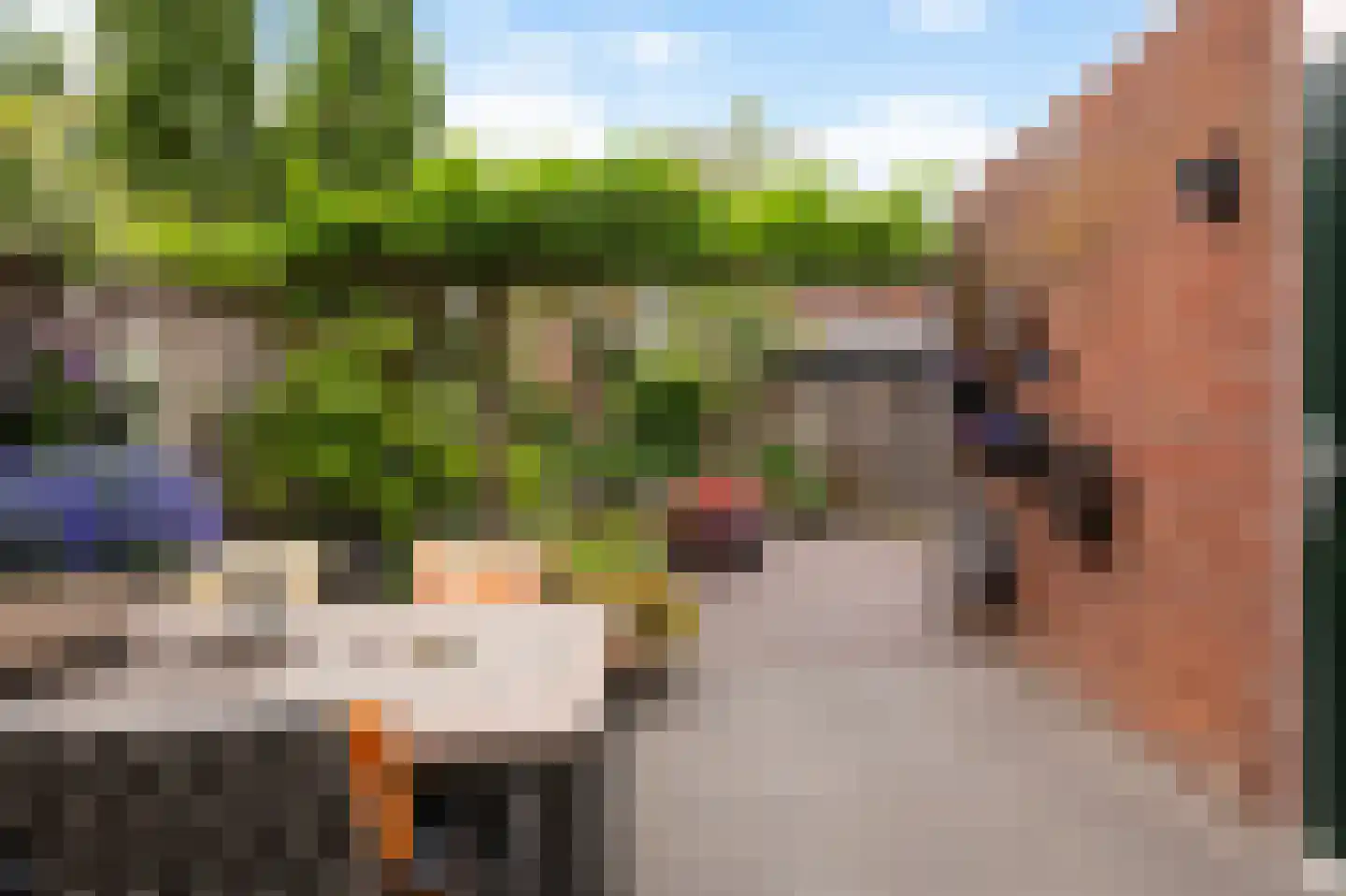 Barink 19 Haaksbergen thumbnail 34