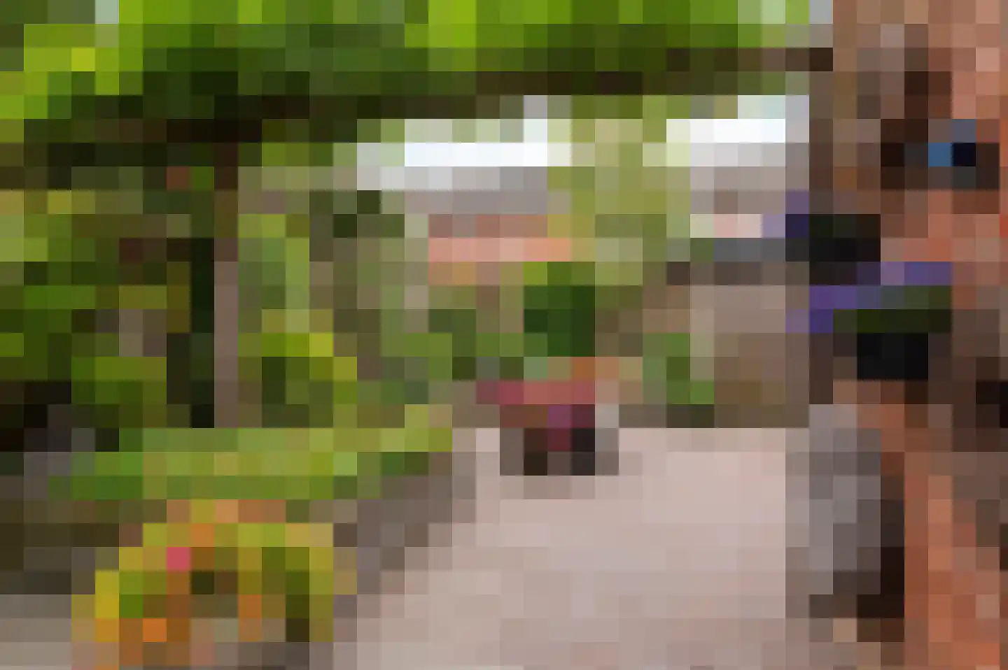 Barink 19 Haaksbergen thumbnail 35