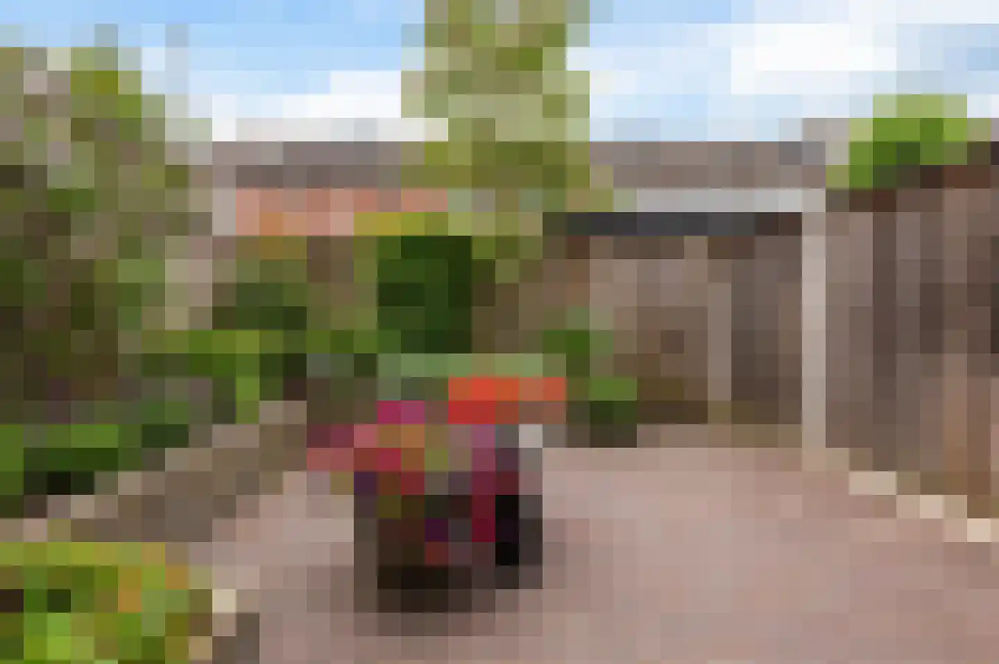 Barink 19 Haaksbergen thumbnail 36