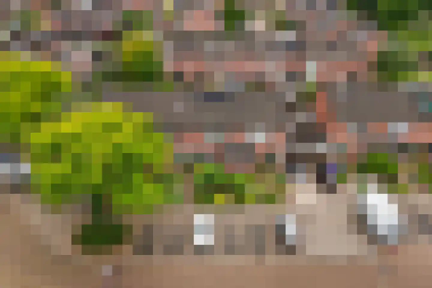 Barink 19 Haaksbergen thumbnail 39