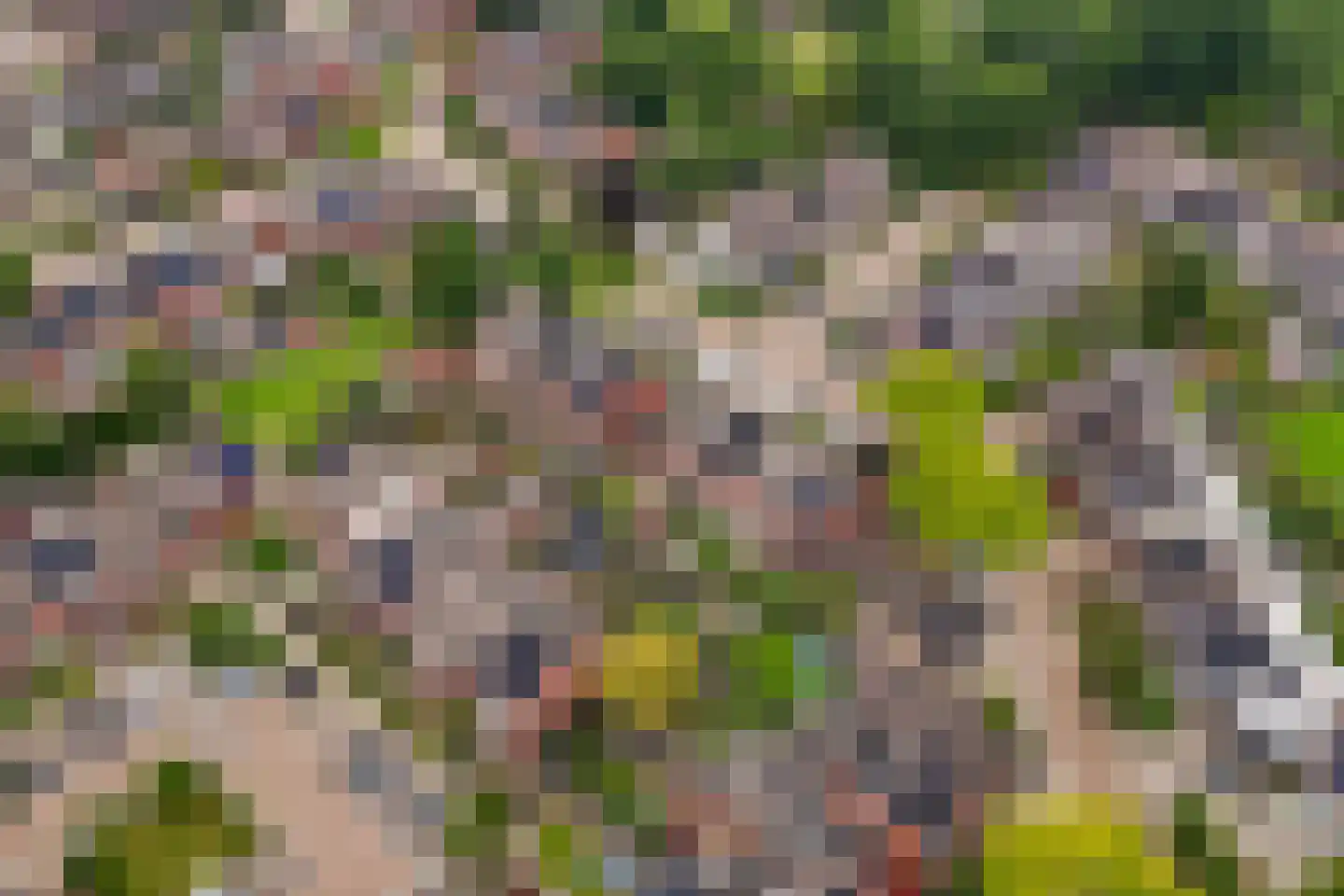 Barink 19 Haaksbergen thumbnail 41