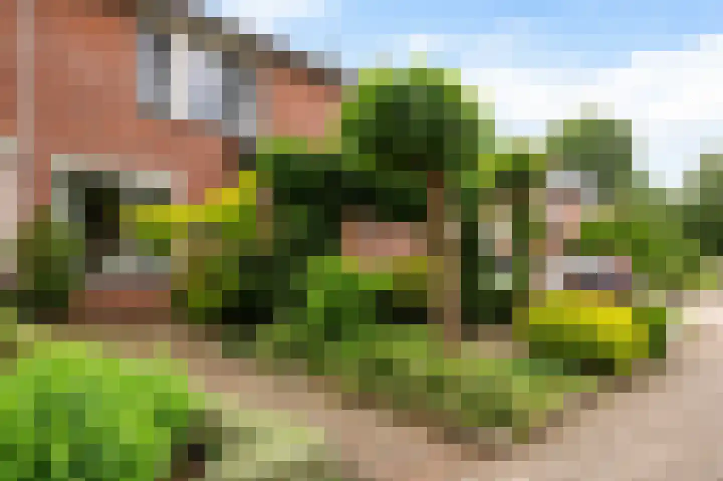 Barink 19 Haaksbergen thumbnail 5