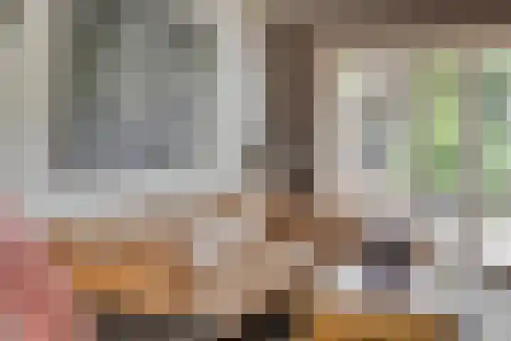 Barisakker 106 Nuenen thumbnail 10