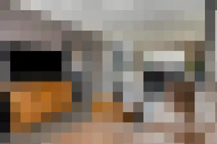 Barisakker 106 Nuenen thumbnail 11
