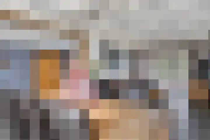 Barisakker 106 Nuenen thumbnail 13