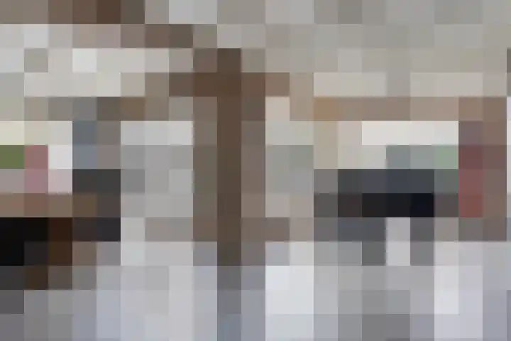 Barisakker 106 Nuenen thumbnail 15