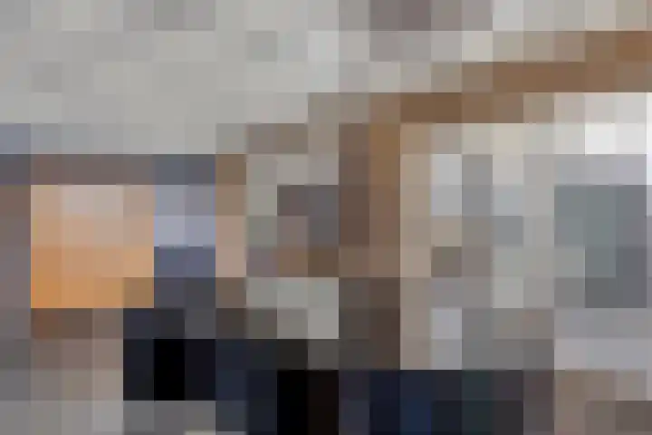 Barisakker 106 Nuenen thumbnail 16