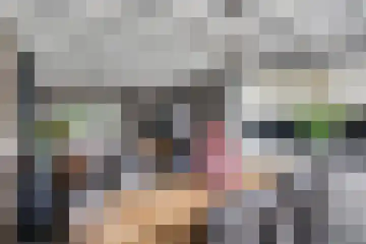 Barisakker 106 Nuenen thumbnail 17