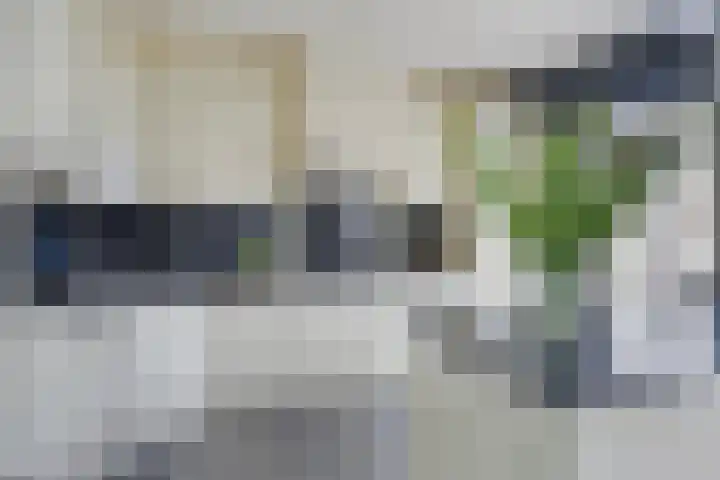 Barisakker 106 Nuenen thumbnail 18