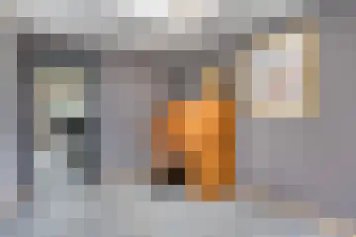 Barisakker 106 Nuenen thumbnail 22