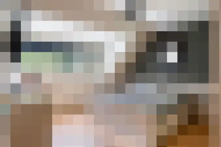Barisakker 106 Nuenen thumbnail 25