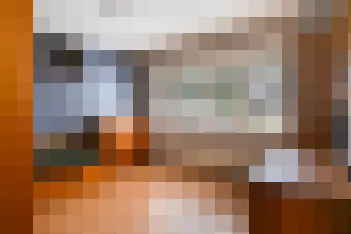 Barisakker 106 Nuenen thumbnail 27