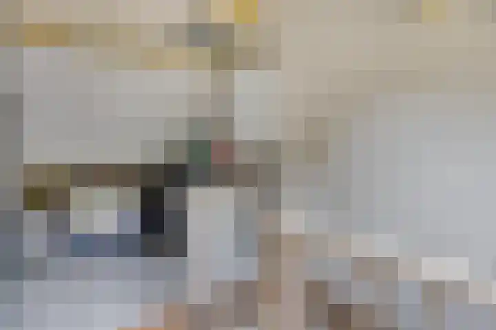 Barisakker 106 Nuenen thumbnail 32